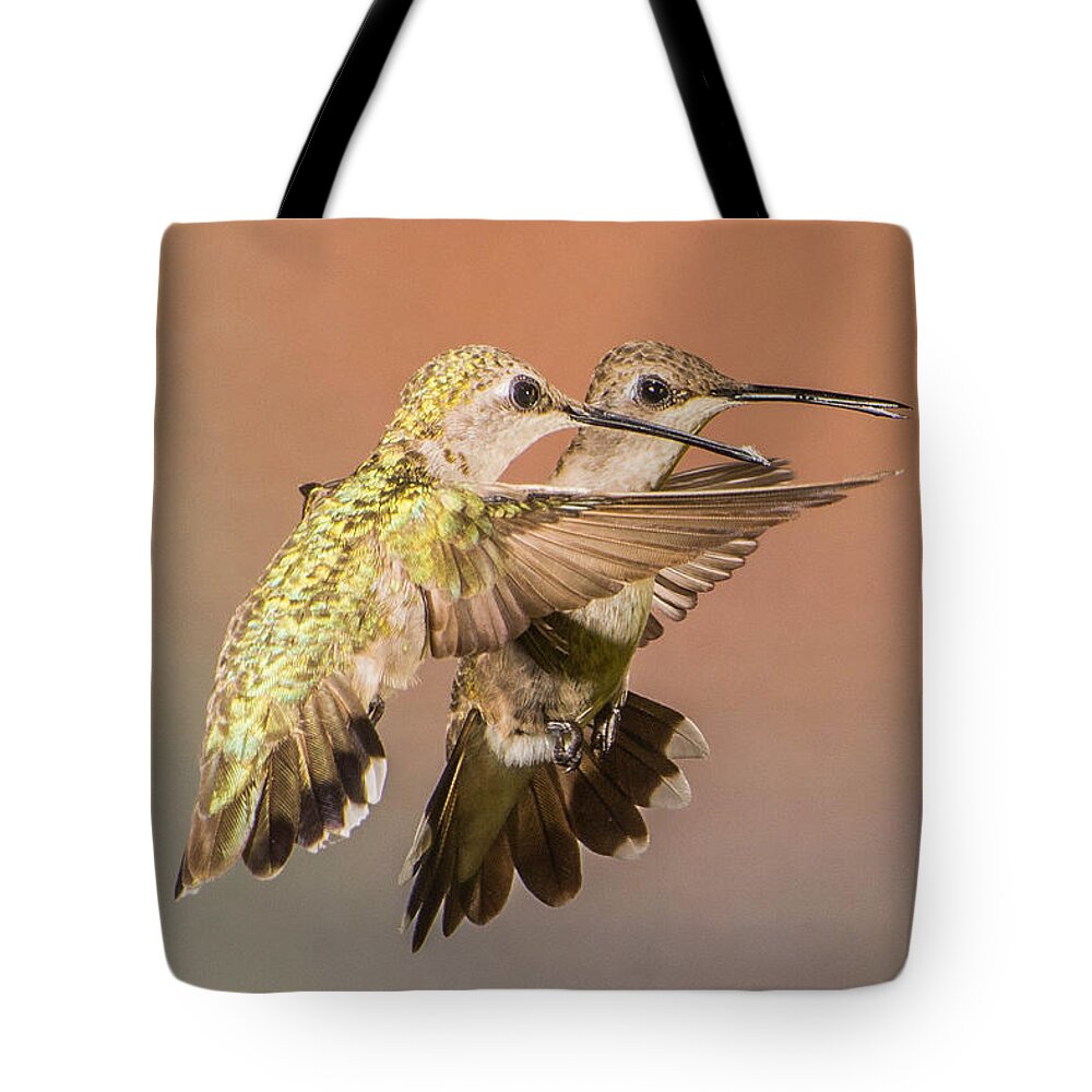Hummingbirds Tote Bag featuring the photograph Black-chinned Hummingbirds by Peggy Blackwell