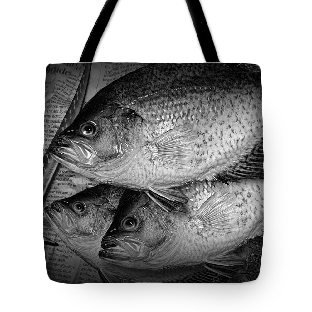 Crappie Tote Bag featuring the photograph Black Crappie Panfish with Fish Filet Knife in Black and White by Randall Nyhof