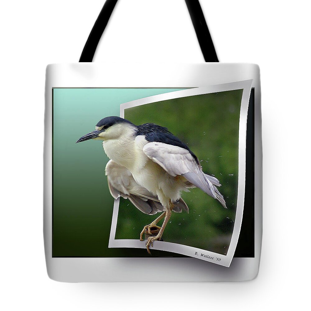 2d Tote Bag featuring the photograph Black Crowned Night Heron by Brian Wallace