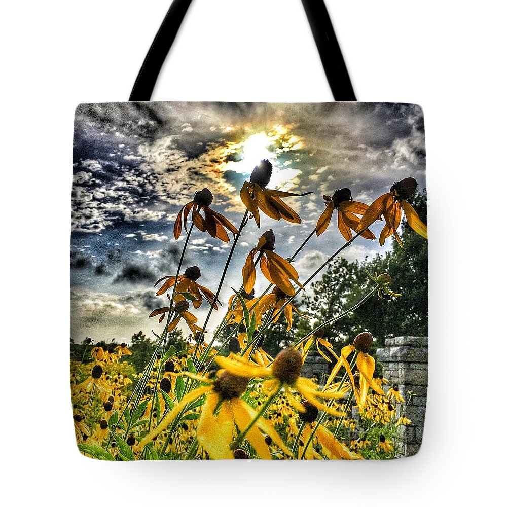 Flowers Tote Bag featuring the photograph Black Eyed Susan by Sumoflam Photography