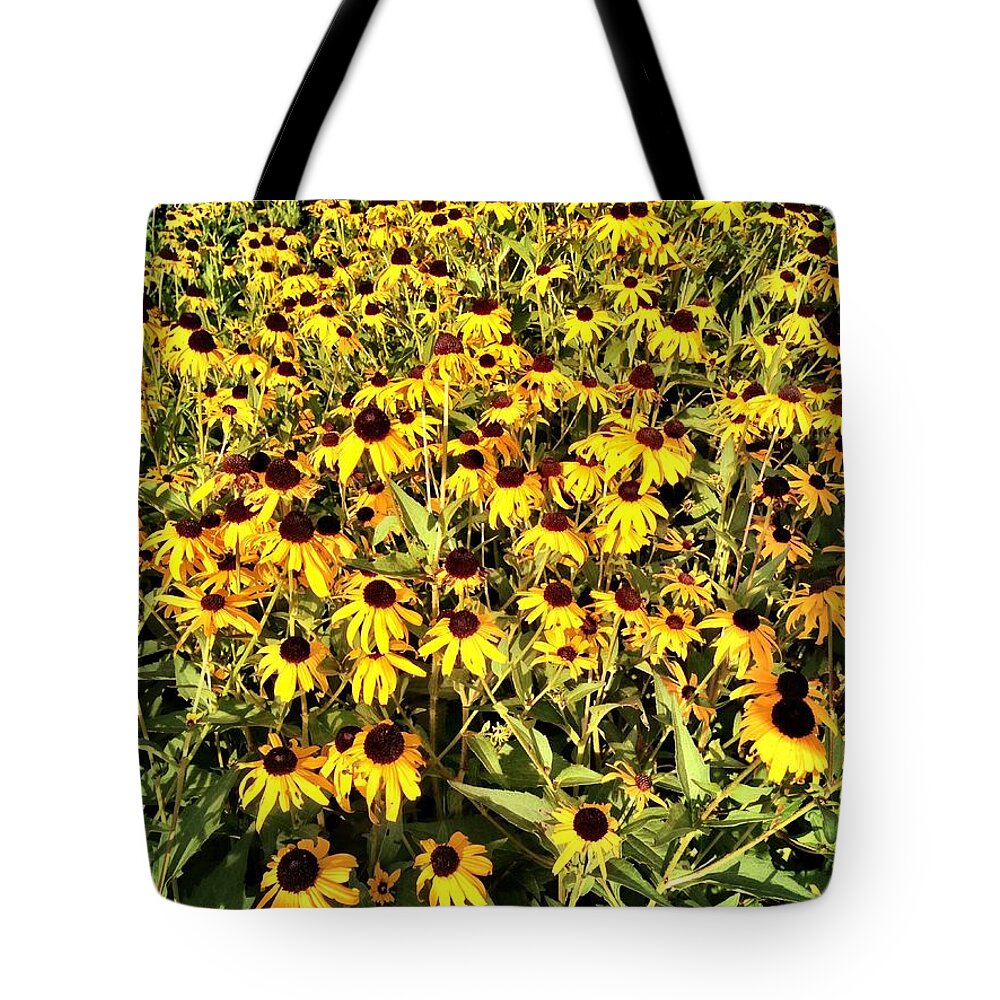 Flowers Tote Bag featuring the photograph Black-Eyed Susans by Chris Montcalmo