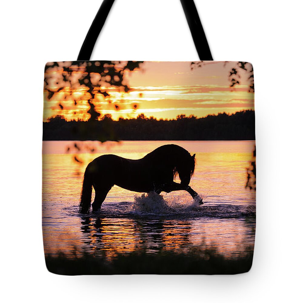 Russian Artists New Wave Tote Bag featuring the photograph Black Horse Bathing in Sunset River by Ekaterina Druz