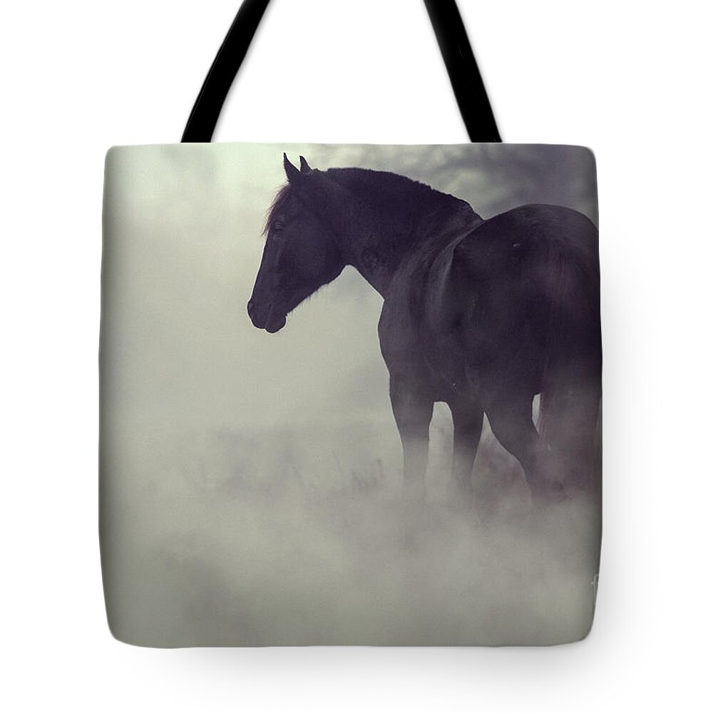 Horse Tote Bag featuring the photograph Black horse in the dark mist by Dimitar Hristov