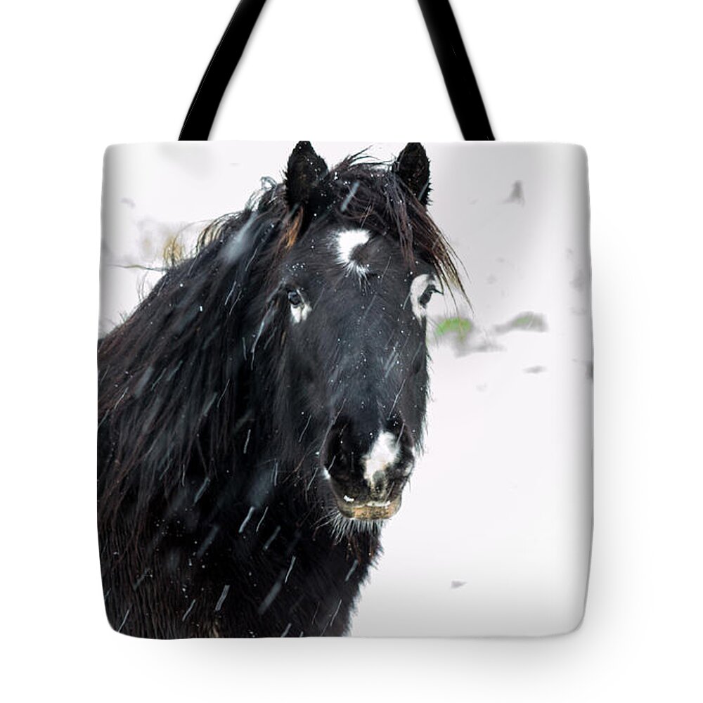 Horse Tote Bag featuring the photograph Black Horse Staring In The Snow by Scott Lyons