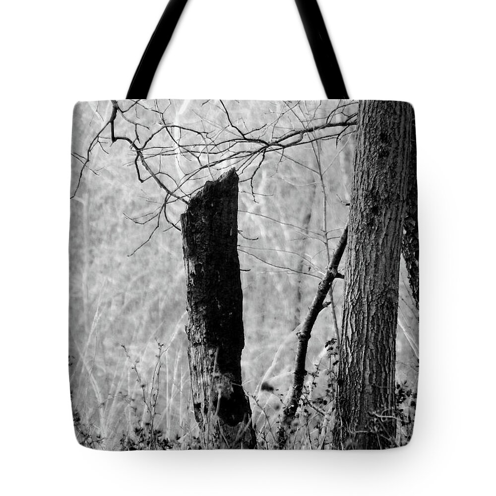 Black And White Tote Bag featuring the photograph Black Monk Stump by Wild Thing