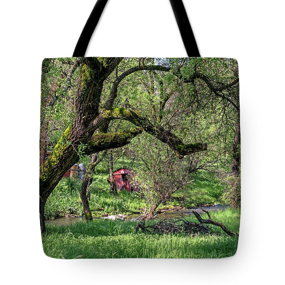 Black Oak Tote Bag featuring the photograph Black Oak and Creek by Jim Thompson