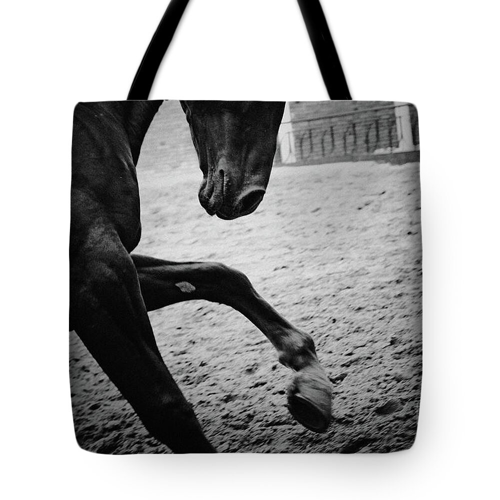 Horse Tote Bag featuring the photograph Black stallion - Poster by Dimitar Hristov
