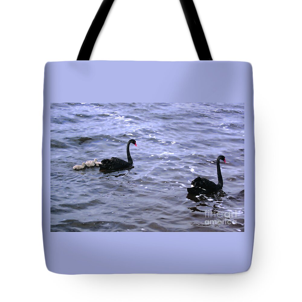 Cygnus Atratus Tote Bag featuring the photograph Black Swan Family by Cassandra Buckley