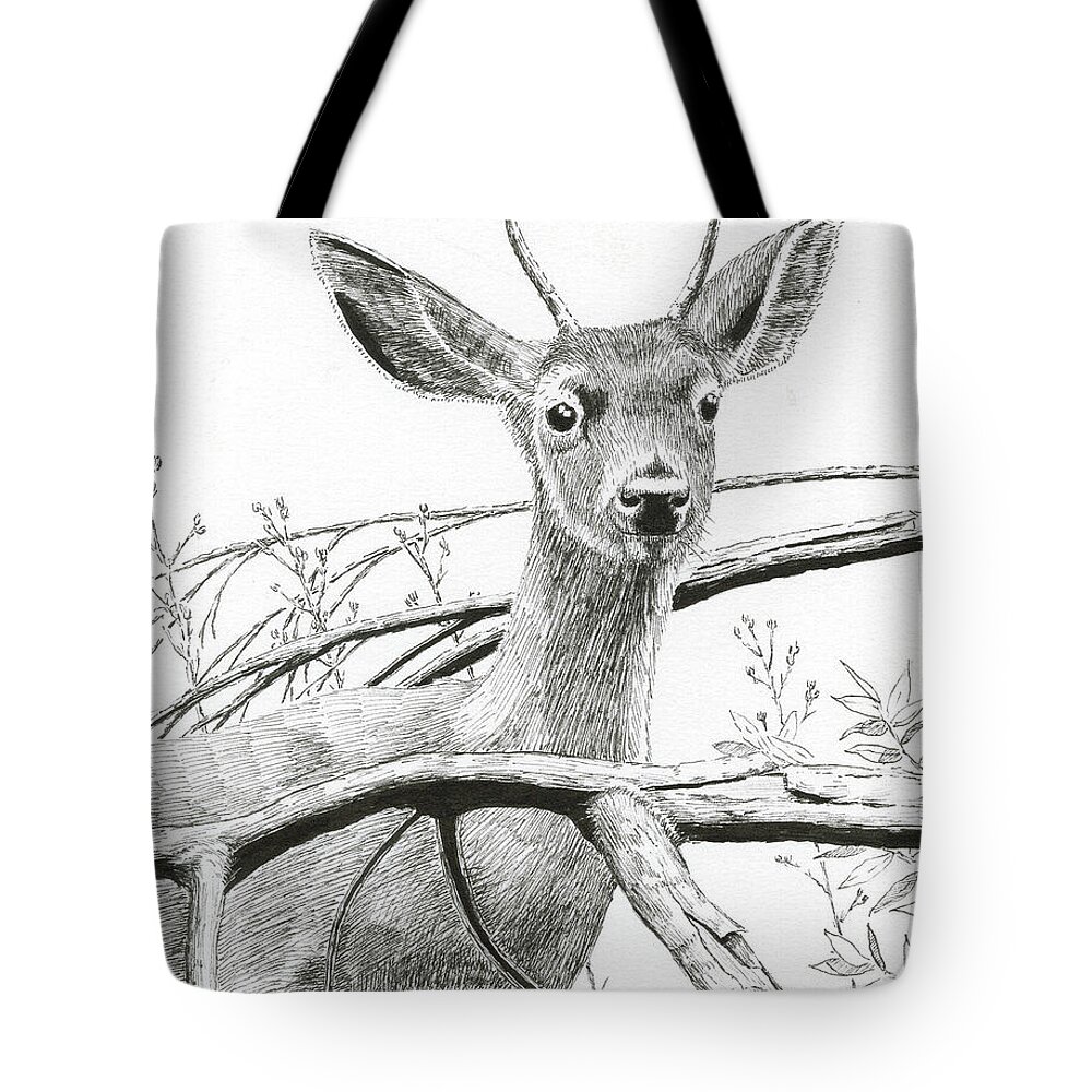Black Tail Deer Tote Bag featuring the drawing Black Tail Spike by Timothy Livingston