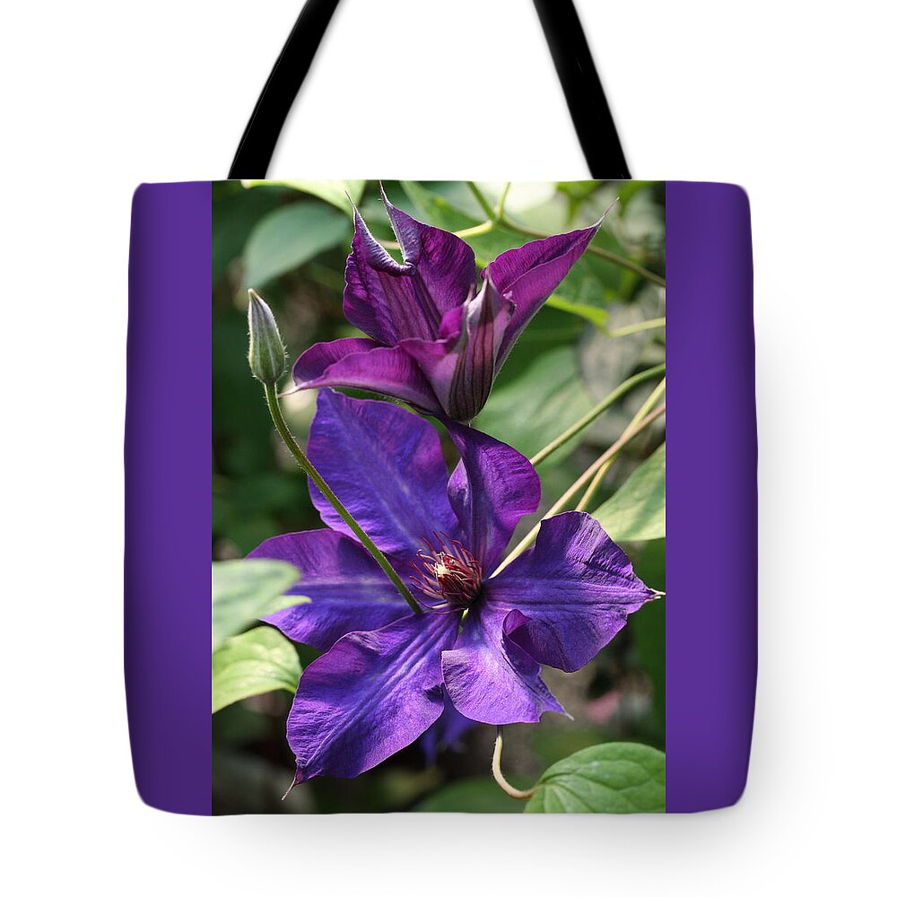 Abundant Tote Bag featuring the photograph Black Tea Clematis by Tammy Pool