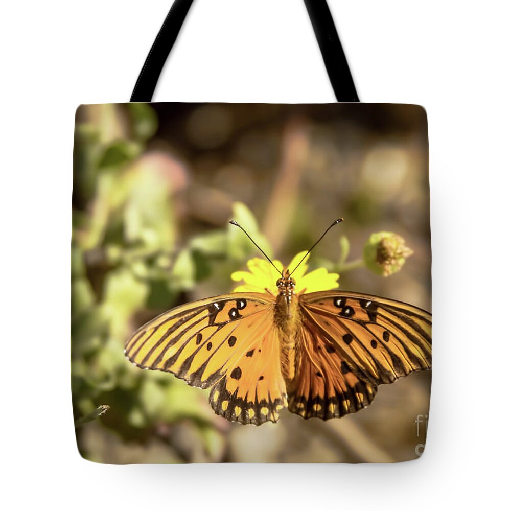 Butterfly Tote Bag featuring the photograph Black Trim On Orange by Steven Parker