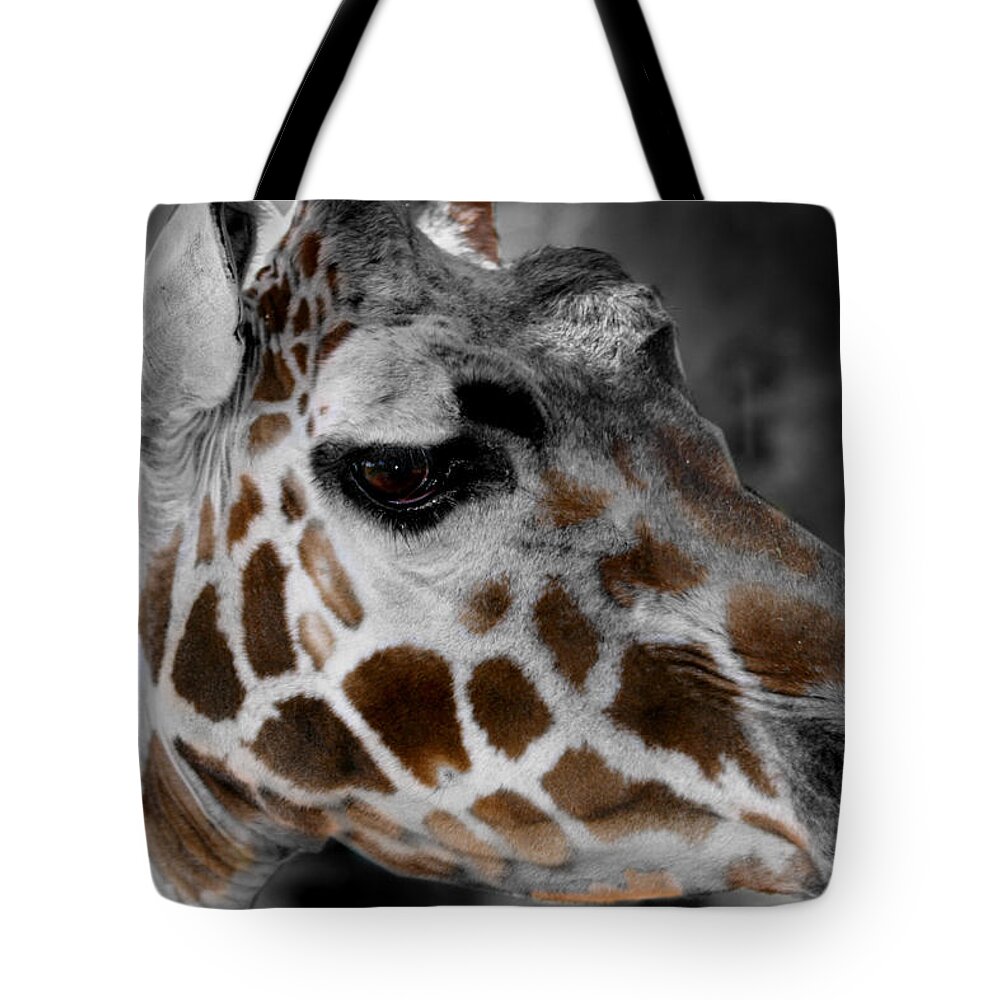 Giraffe Tote Bag featuring the photograph Black White and Color Giraffe by Anthony Jones