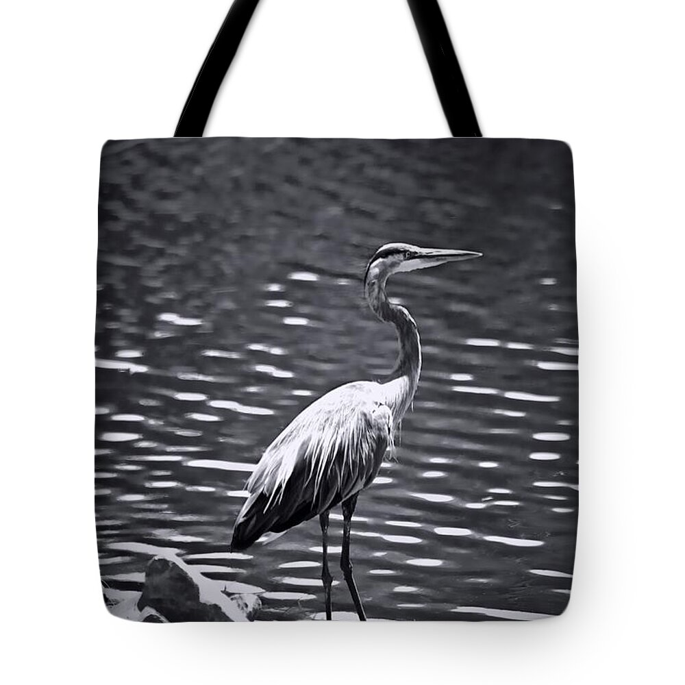 Black/white Heron Tote Bag featuring the photograph Black/White HERON by Debra   Vatalaro