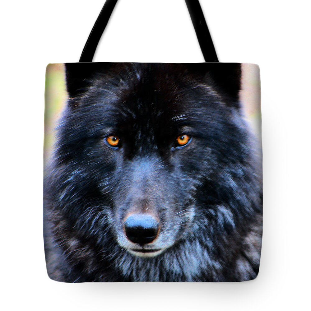 Wolf Tote Bag featuring the photograph Black Wolf by Nick Gustafson