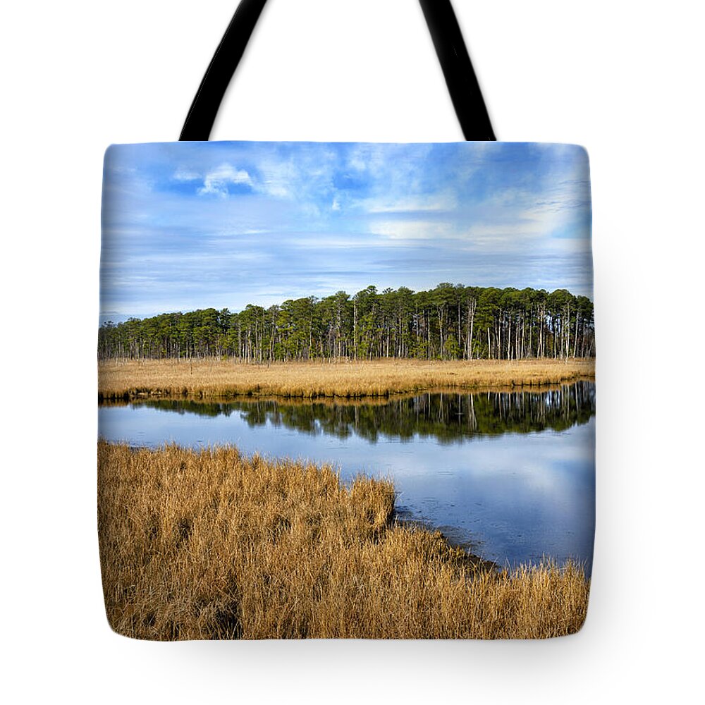 eastern Shore Landscape Tote Bag featuring the photograph Blackwater National Wildlife Refuge in Maryland by Brendan Reals
