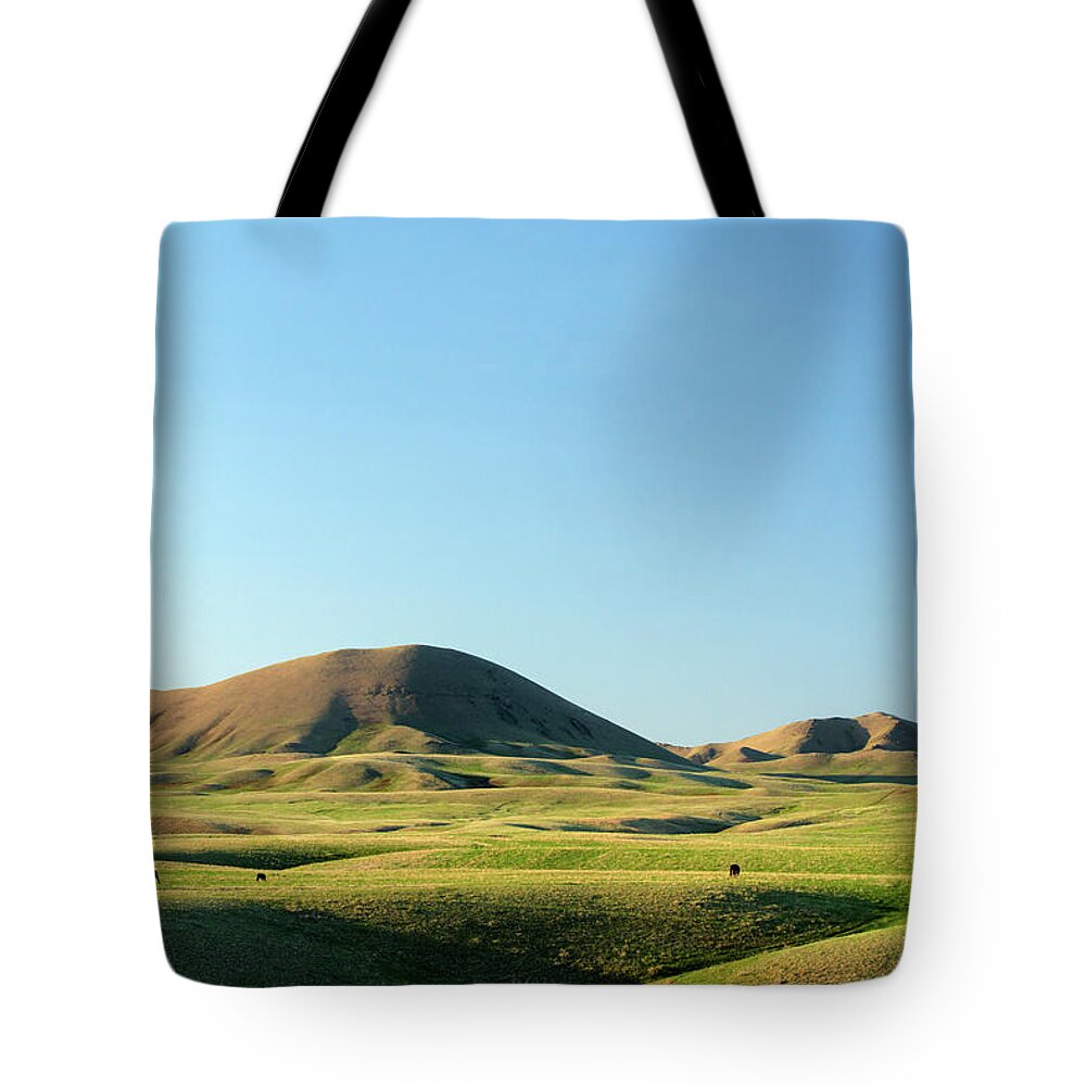 Chinook Tote Bag featuring the photograph Blaine County USA by Todd Klassy
