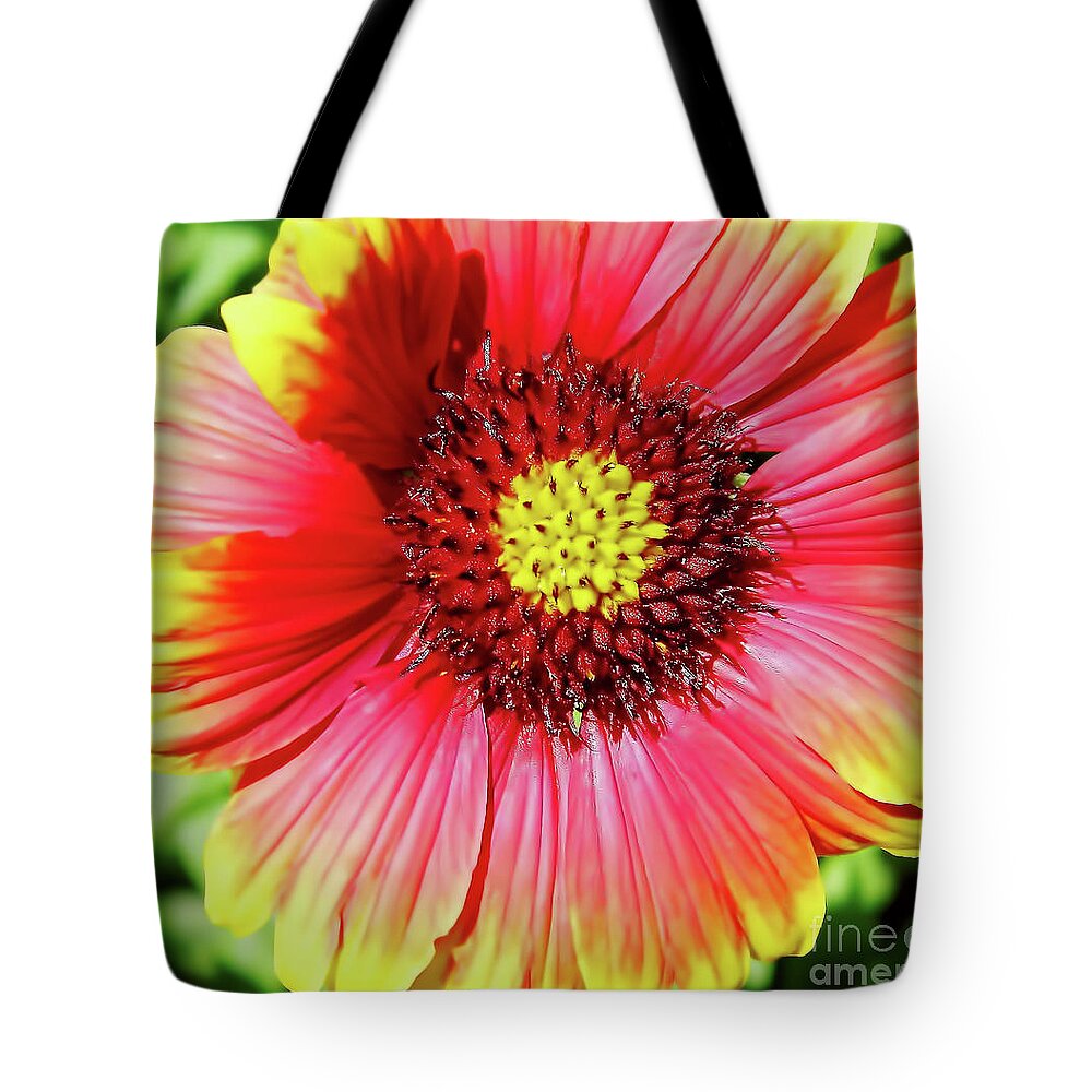 Gaillardia Tote Bag featuring the photograph Blanket Flower by D Hackett