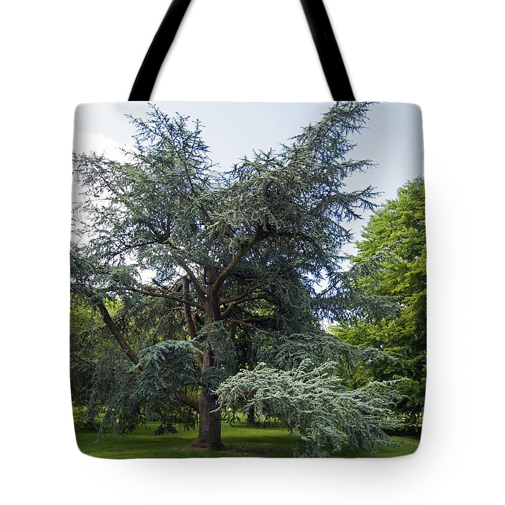 Blarney House Tote Bag featuring the photograph Blarney House grounds by Cindy Murphy - NightVisions 