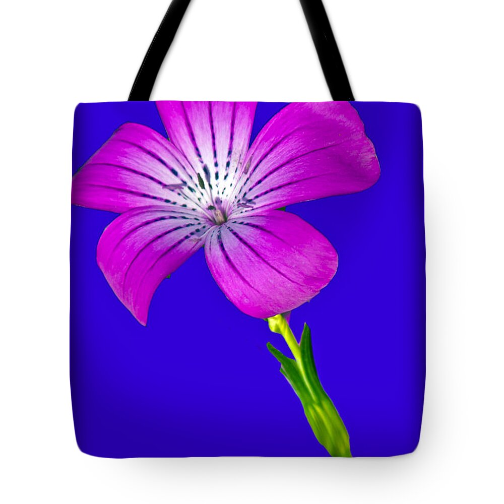 Flower Tote Bag featuring the photograph Blasting Flower by Matthew Bamberg