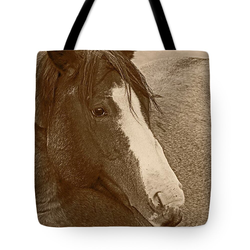 Horse Tote Bag featuring the photograph Blaze N Gray by Amanda Smith