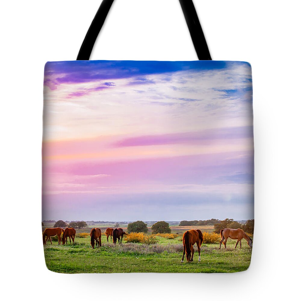 America Tote Bag featuring the photograph Blazing Sky Diner by Melinda Ledsome