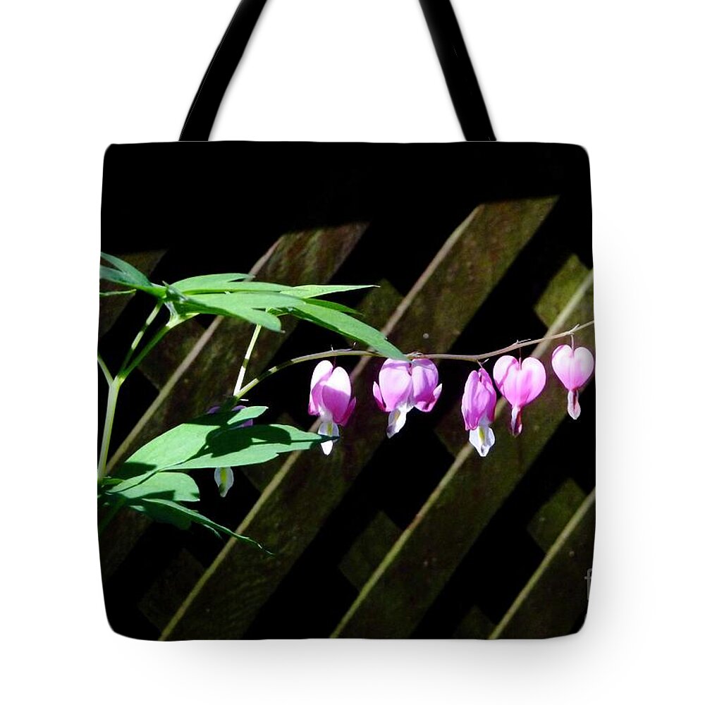 Flowers Tote Bag featuring the photograph Bleeding Hearts all in a Row by Margie Avellino