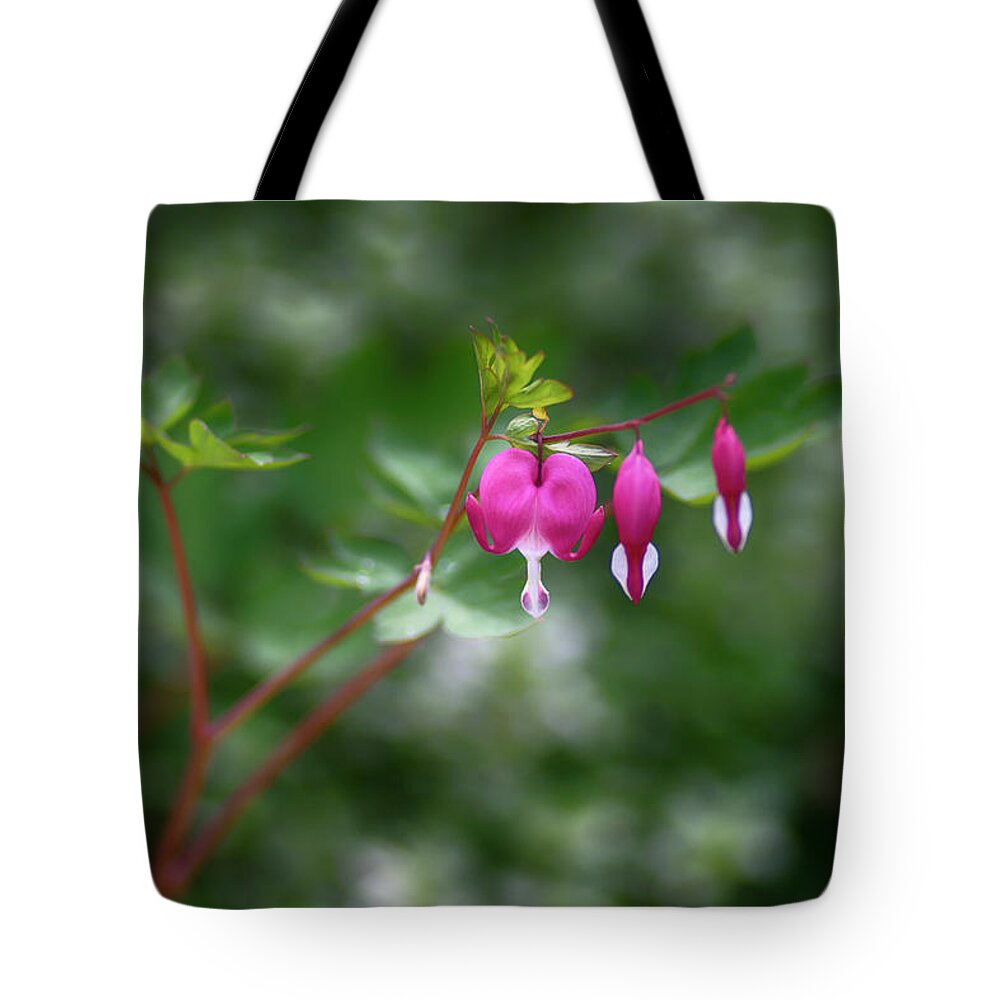  Tote Bag featuring the photograph Bleeding Hearts by Dan Hefle