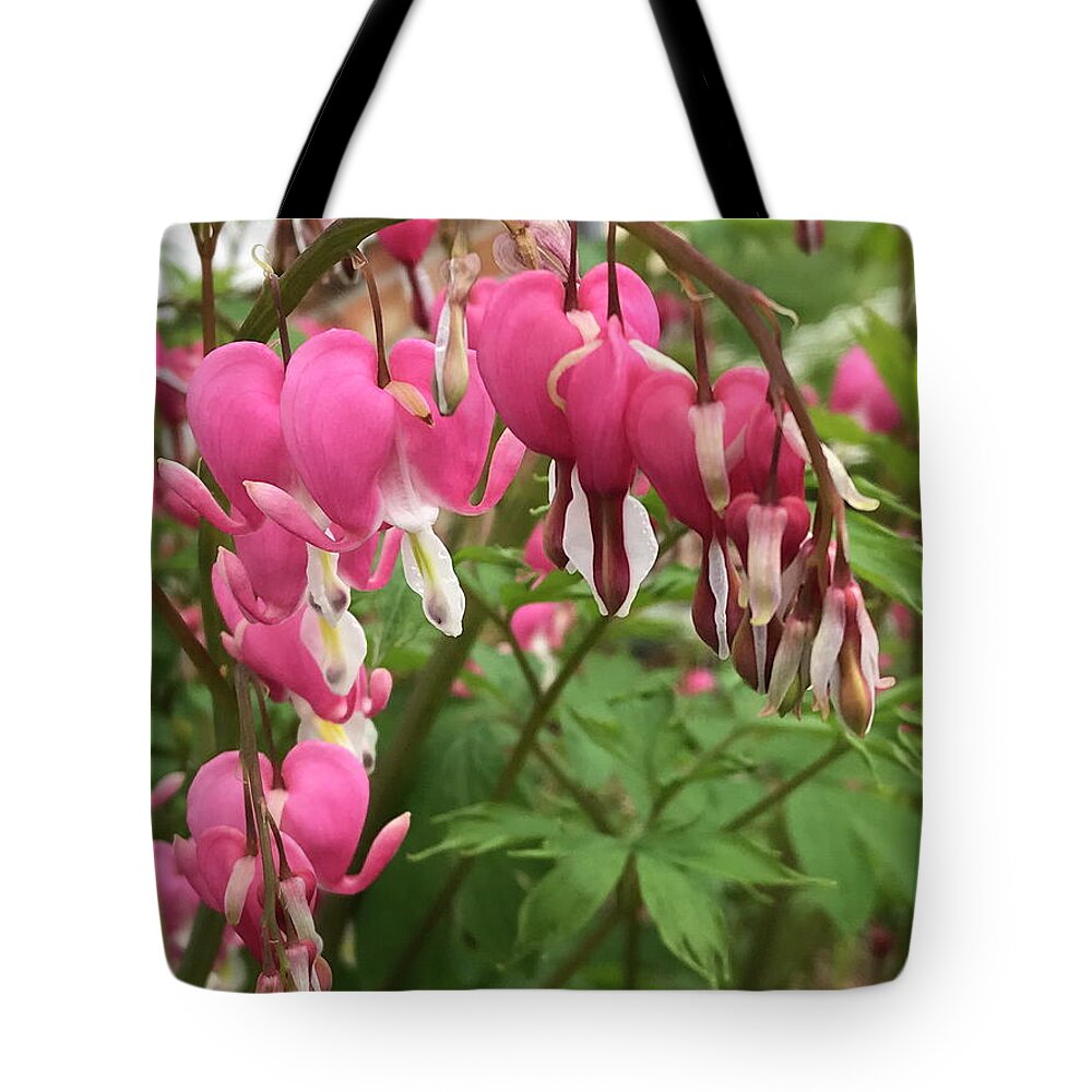 Bleeding Tote Bag featuring the photograph Bleeding Hearts by Tannis Baldwin