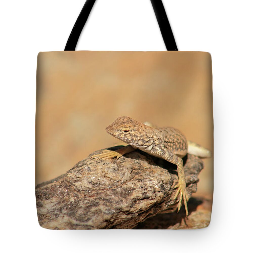 Arizona Tote Bag featuring the photograph Blending In by Jen Manganello