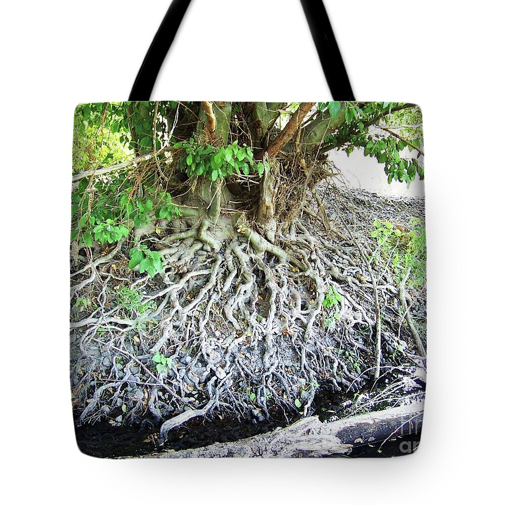 Landscape Tote Bag featuring the photograph Blessing Root Stones by Julie Rauscher