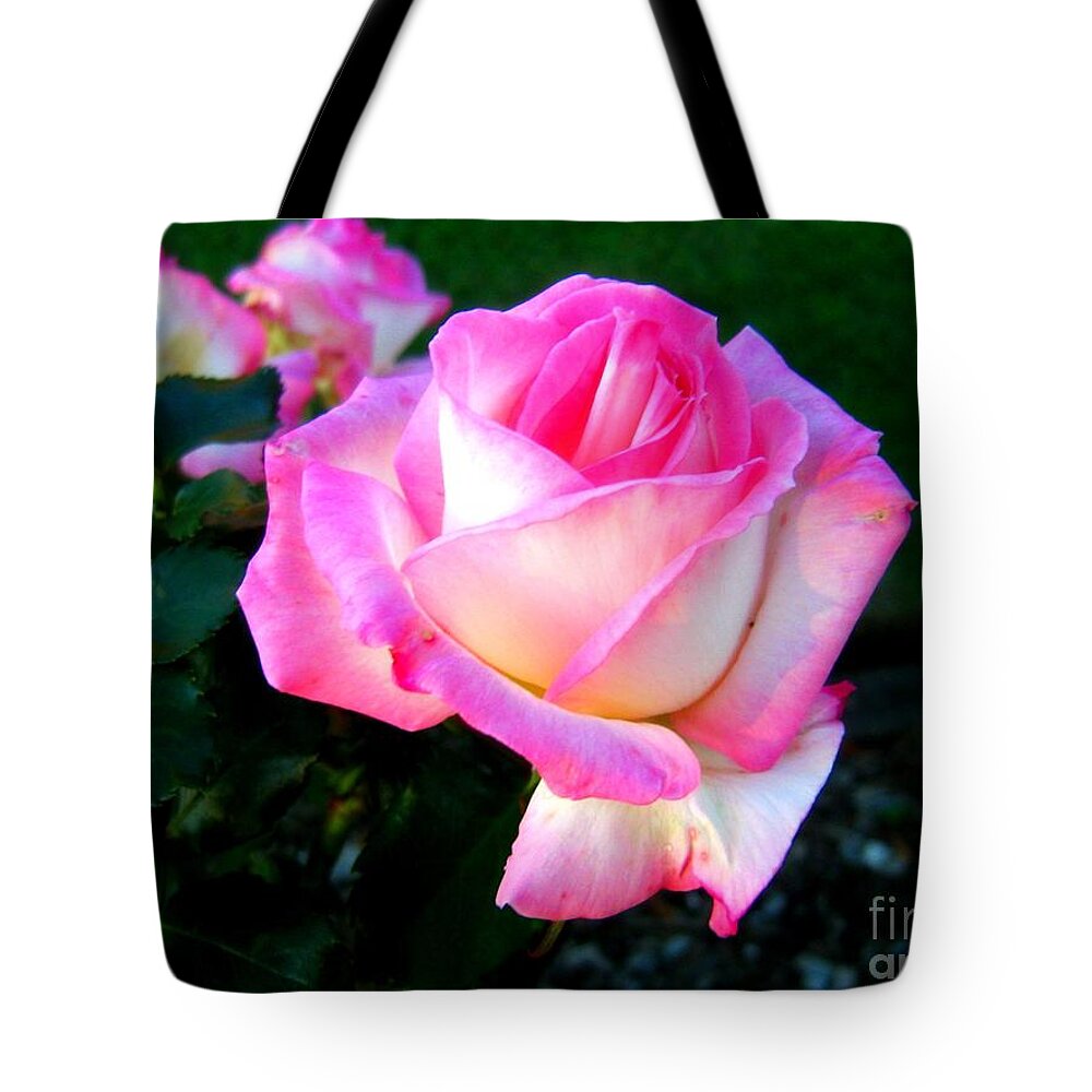 Pink Tote Bag featuring the photograph Blessings 1 by Leanne Seymour