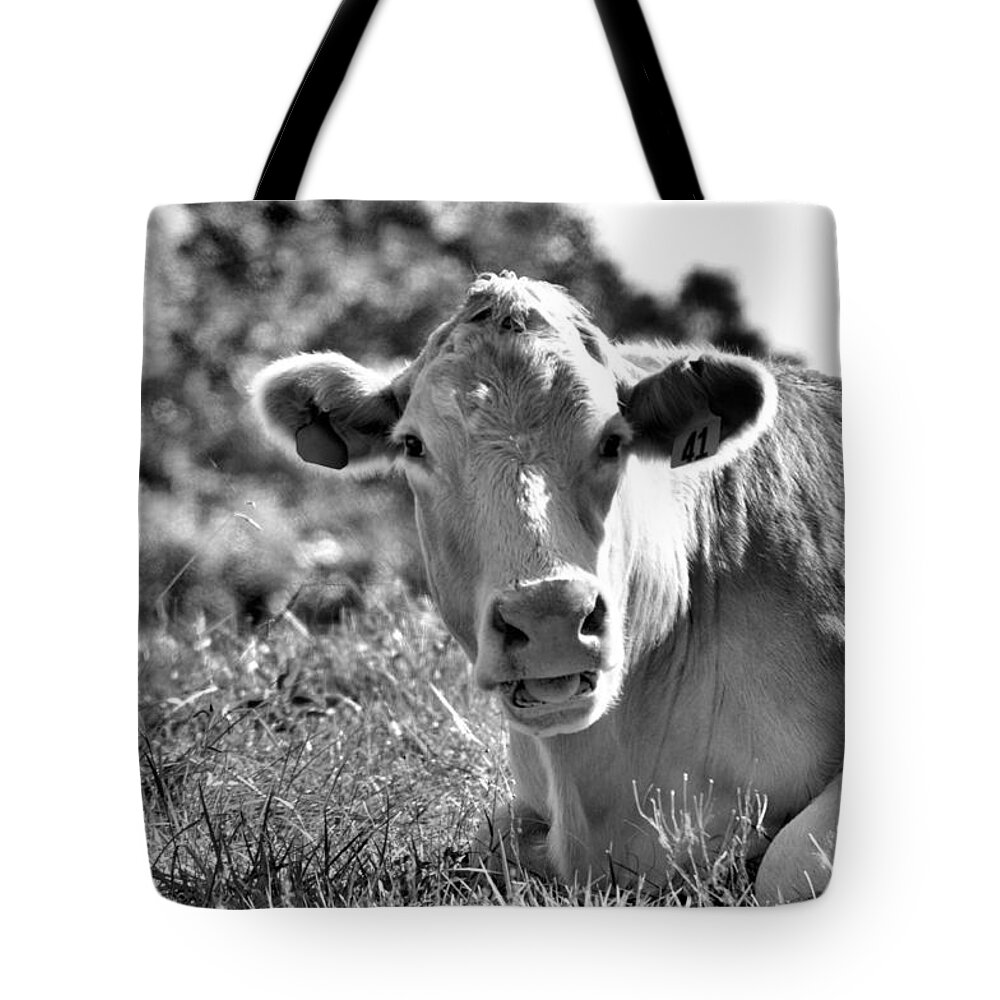 Animals Tote Bag featuring the photograph Blonde Babe by Jan Amiss Photography