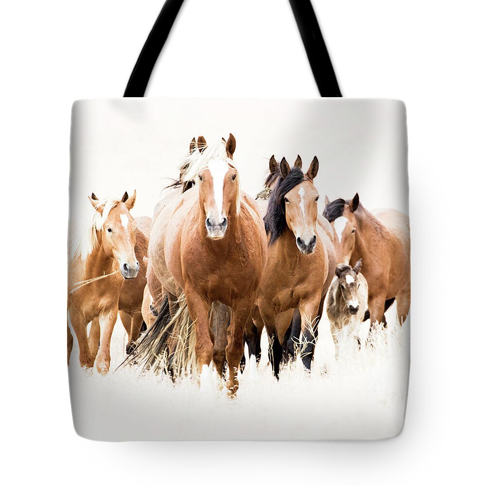 Mustangs Tote Bag featuring the photograph Blondie's band by John T Humphrey