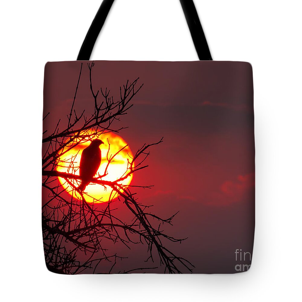Sunsets/sunrises Tote Bag featuring the photograph Blood Red by Jim Garrison