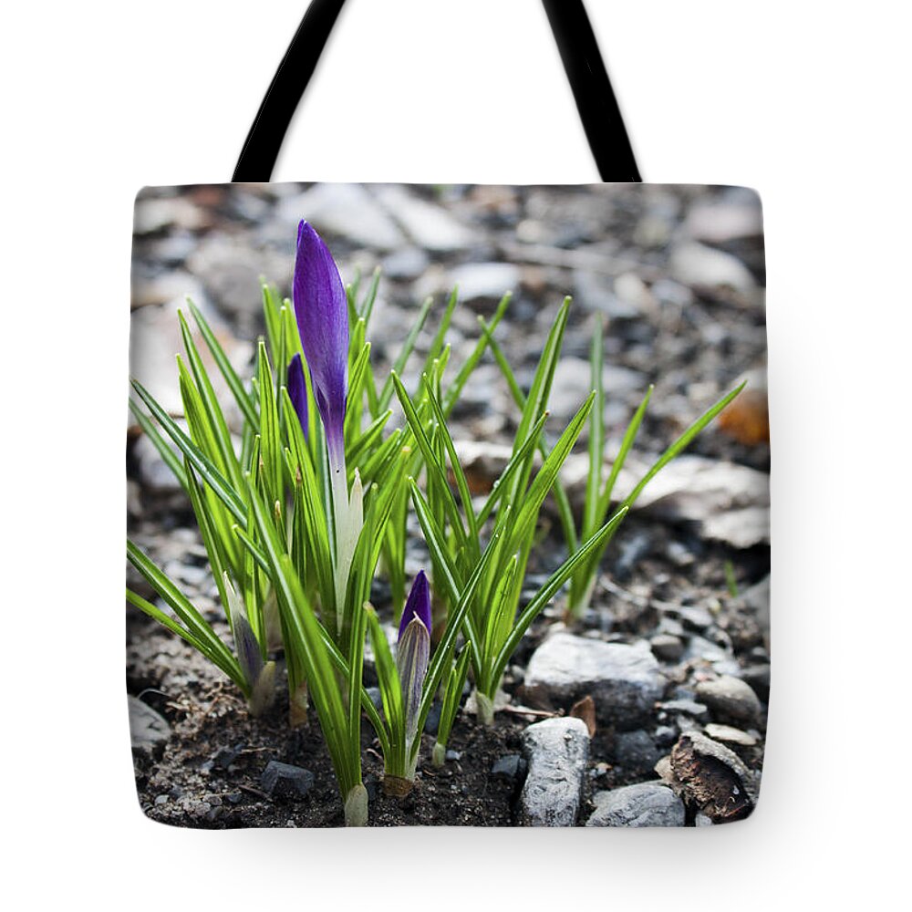 Flower Tote Bag featuring the photograph Bloom Awaits by Jeff Severson
