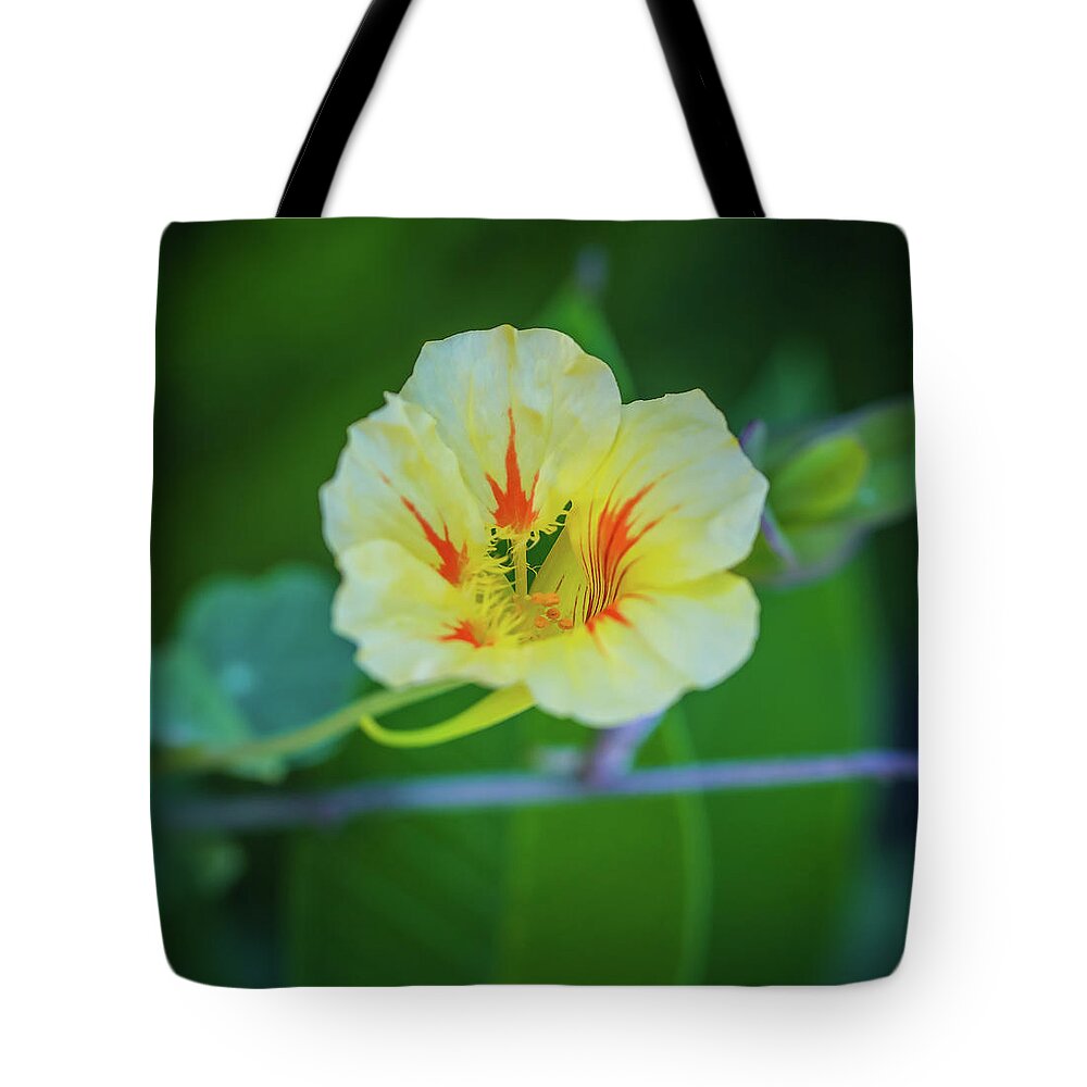 Flower Tote Bag featuring the photograph Bloom by Hyuntae Kim