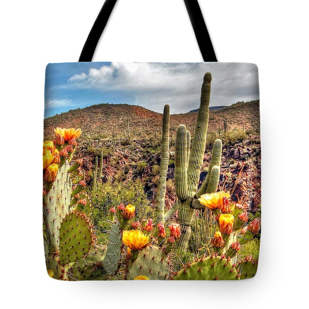 Art Tote Bag featuring the photograph Bloomin' Cactus by Richard Gehlbach