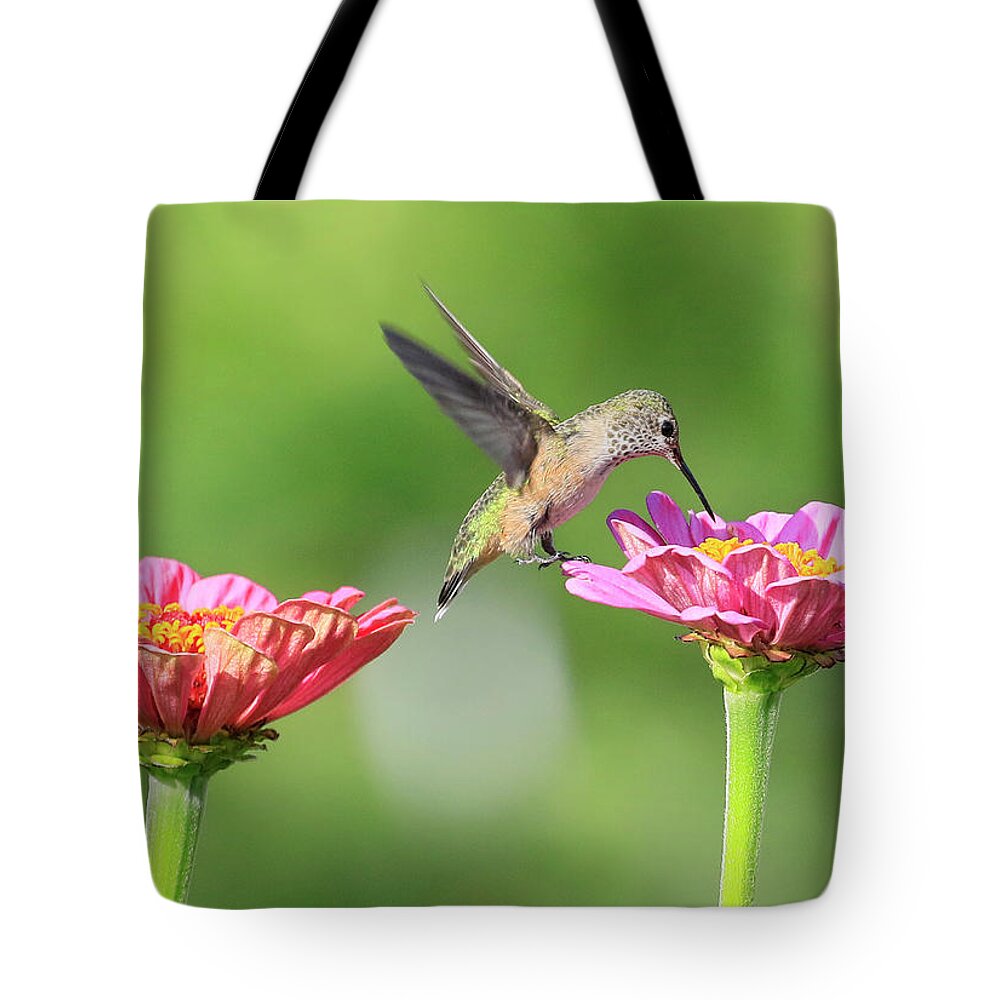 Anna's Hummingbird Tote Bag featuring the photograph Blooming Bounty by Steve McKinzie