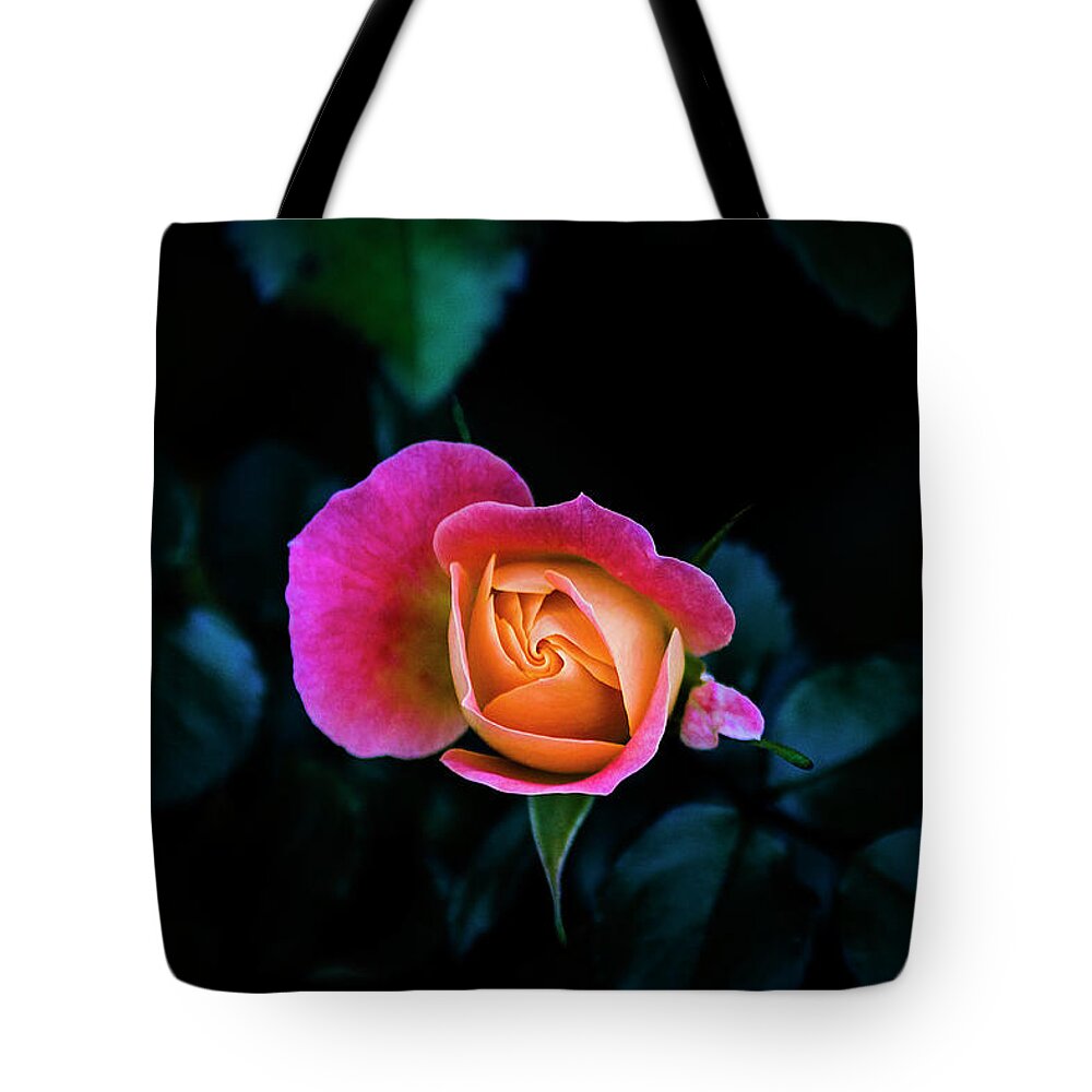 Rose Tote Bag featuring the photograph Blooming by Jennifer Walsh
