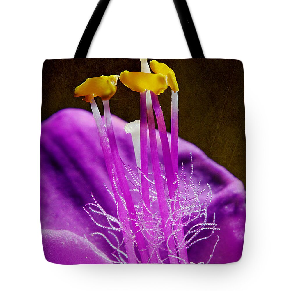 Purple Heart Flower Tote Bag featuring the photograph Blooming Purple Heart by Michael Eingle
