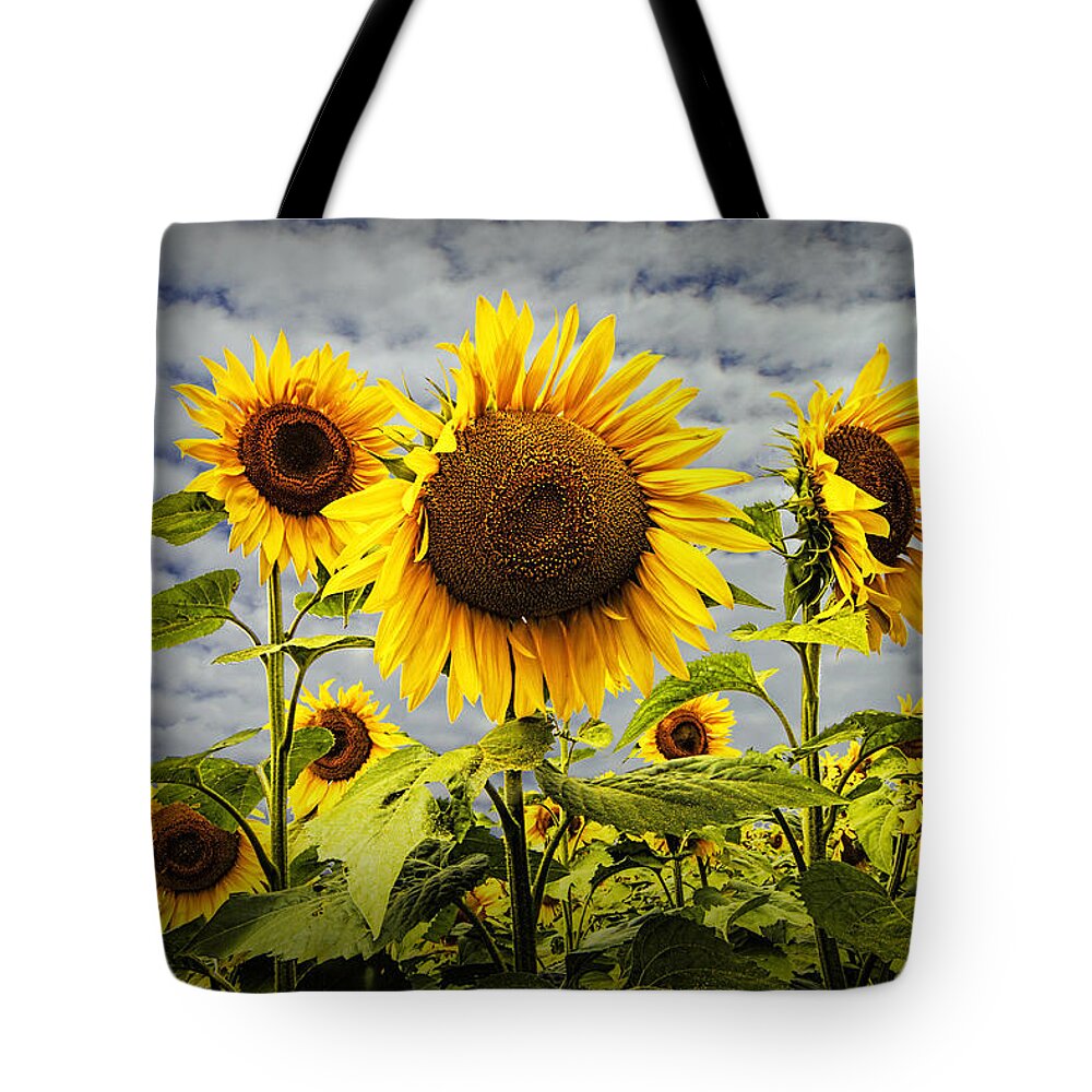 Sunflower Tote Bag featuring the photograph Blooming Sunflowers by Randall Nyhof