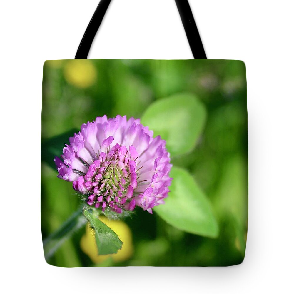 Photograph Tote Bag featuring the photograph Blooming Wild Clover by M E