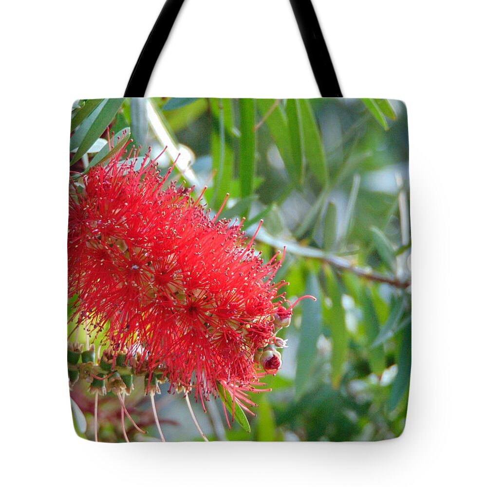 Landscape Tote Bag featuring the photograph Blooms - Gulf State Park by Richie Parks