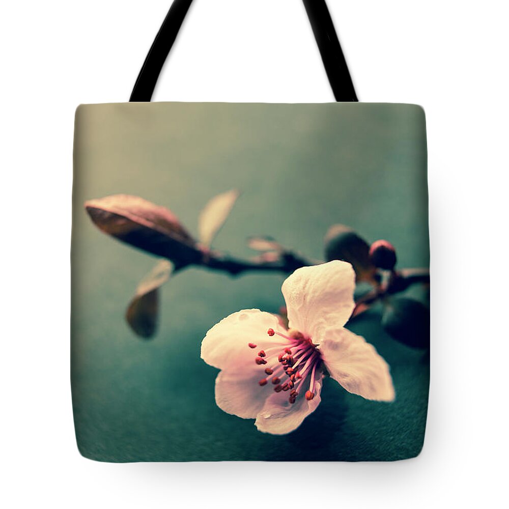 Plum Blossom Tote Bag featuring the photograph Blossom by Caitlyn Grasso