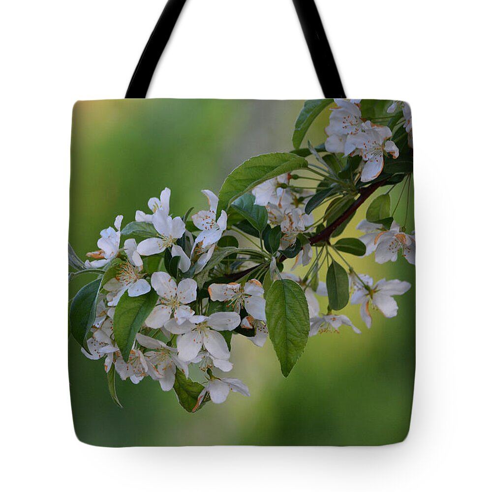 Apple Blossom Tote Bag featuring the photograph Blossom in Frankenmuth by Richard Andrews