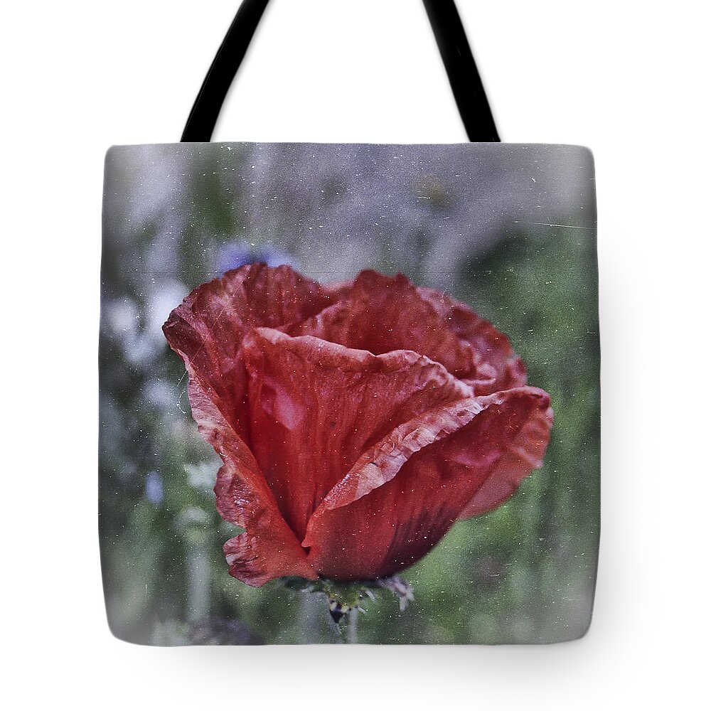 Blossom Tote Bag featuring the photograph Blossom Memory by HW Kateley