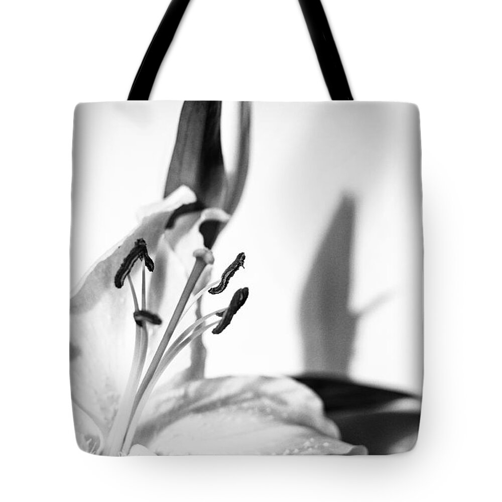 Lily Flower Tote Bag featuring the photograph Blossoming White Lilly Flower and Shadow in Monochrome by John Williams