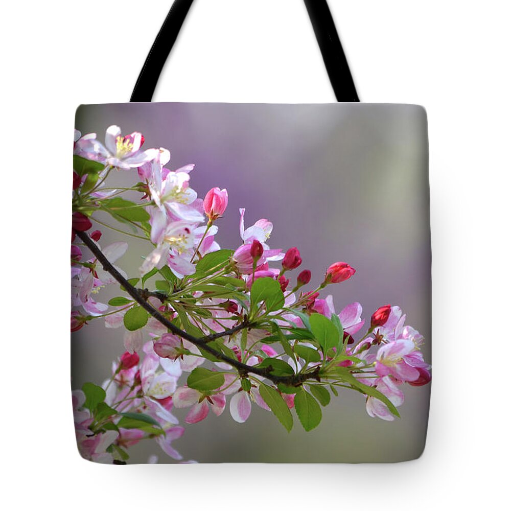 Flower Tote Bag featuring the photograph Blossoms and Bokeh by Ann Bridges