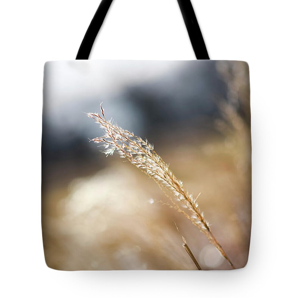 Bokeh Tote Bag featuring the photograph Blowing in the Wind by Doug Ash