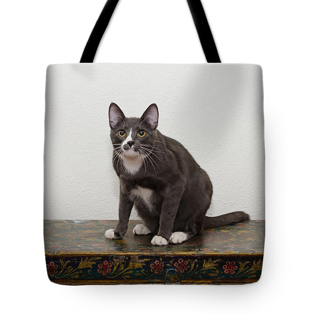 Grey And White Cat Tote Bag featuring the photograph Blue 1 by Irina ArchAngelSkaya